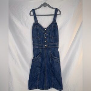 Japna Blue Denim Dress